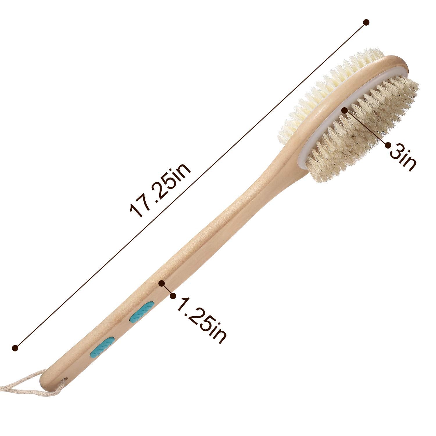 Shower Brush with Soft and Stiff Bristles